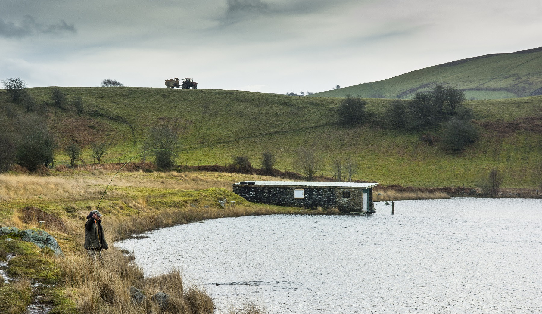 A Welsh llyn scene