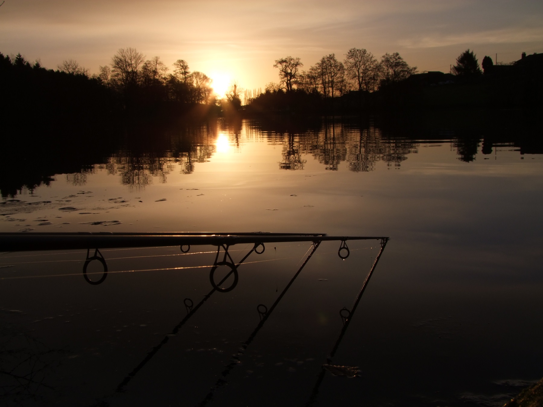 Carp Lake Wales