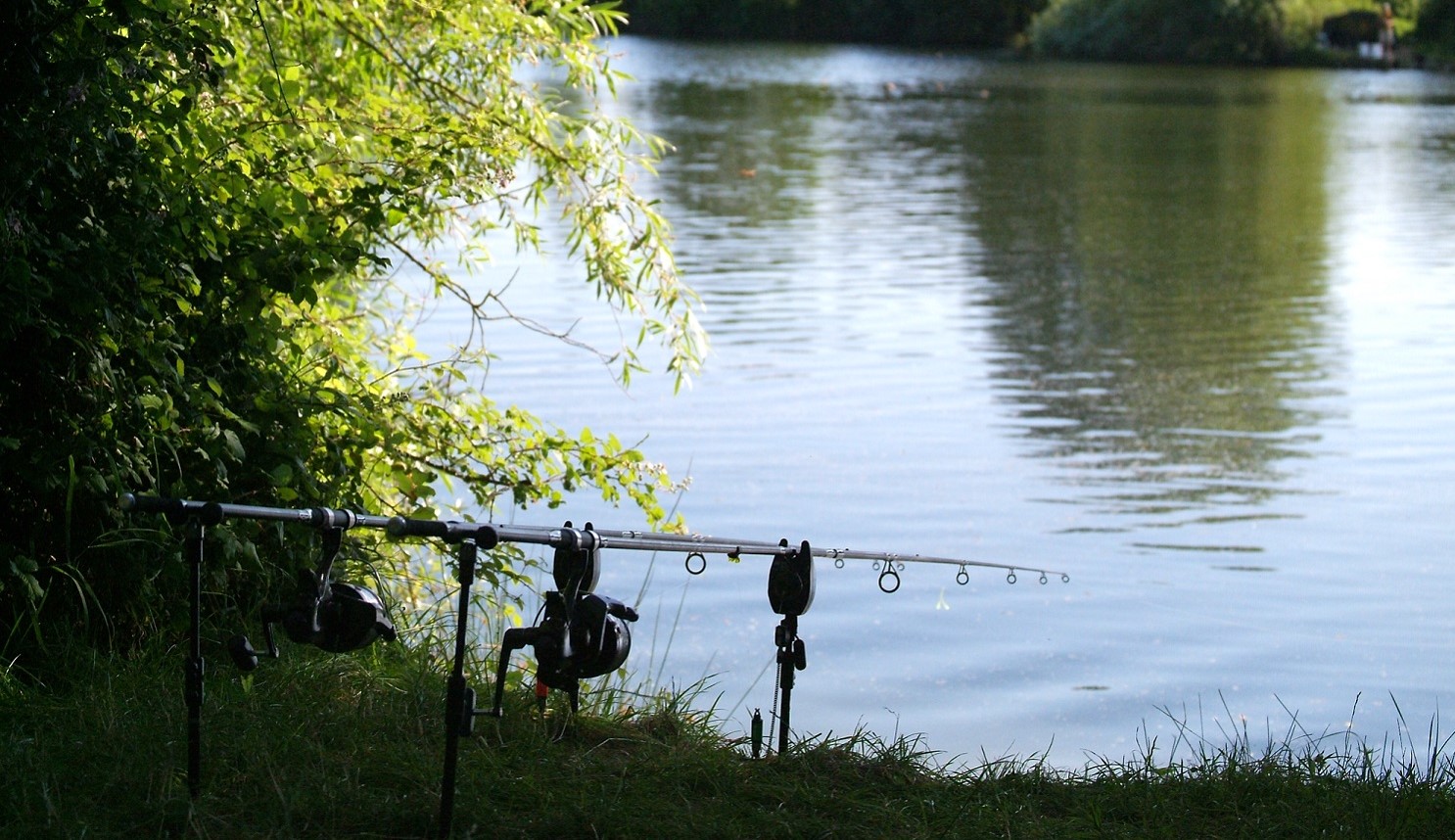 Carp fishing Wales