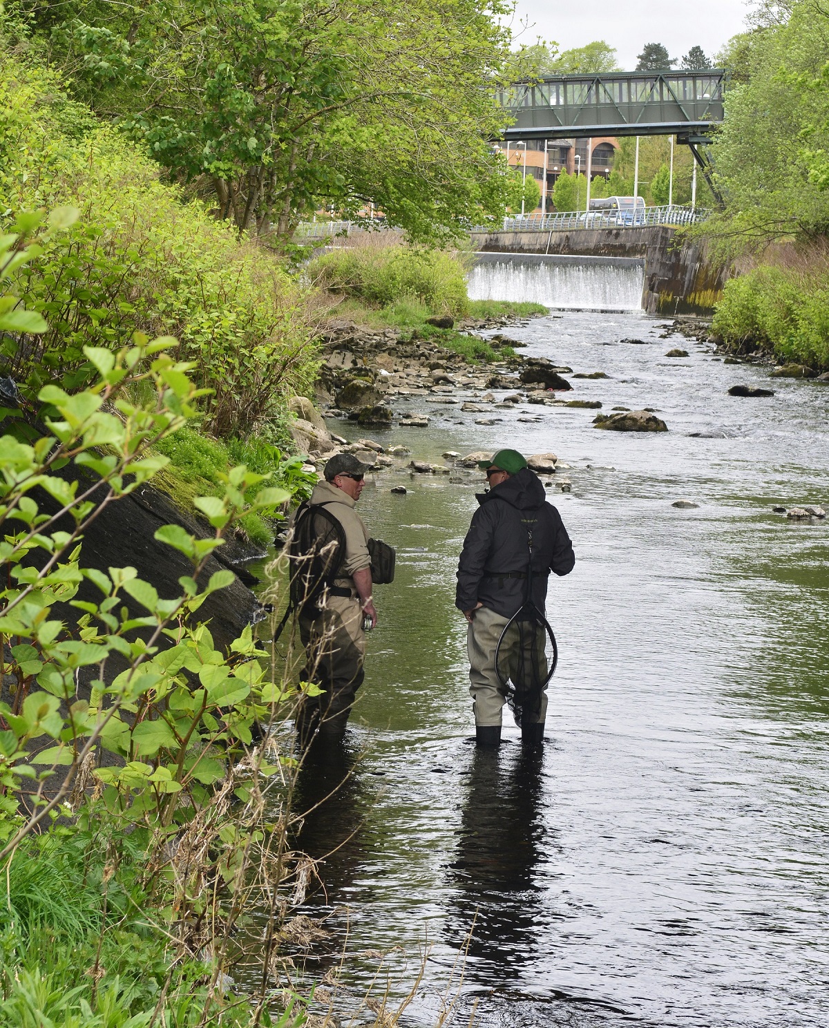 River fishing in Wales for wild trout – a fly fishers paradise - Fishing in Wales