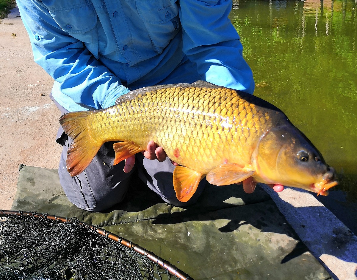 canada lake fishing