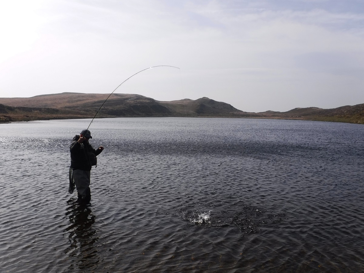 llyn fishing wales
