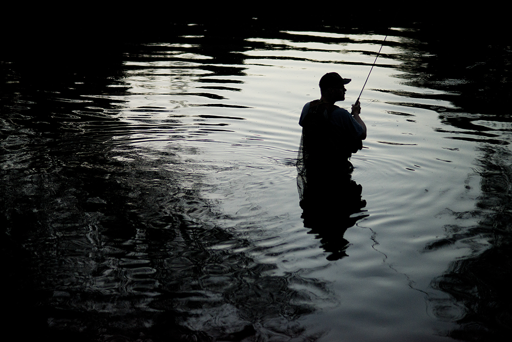Welsh Fishing blogs