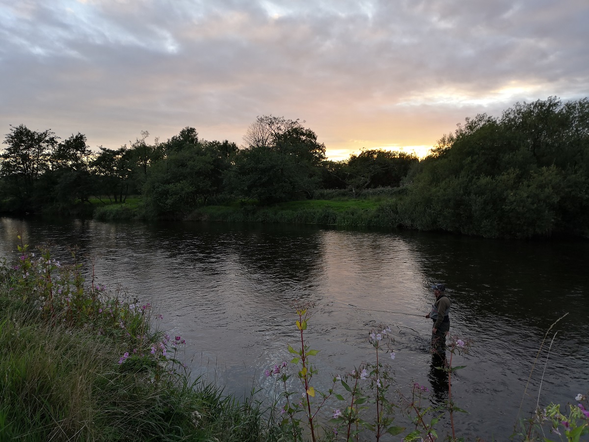 sea trout fishing in Wales