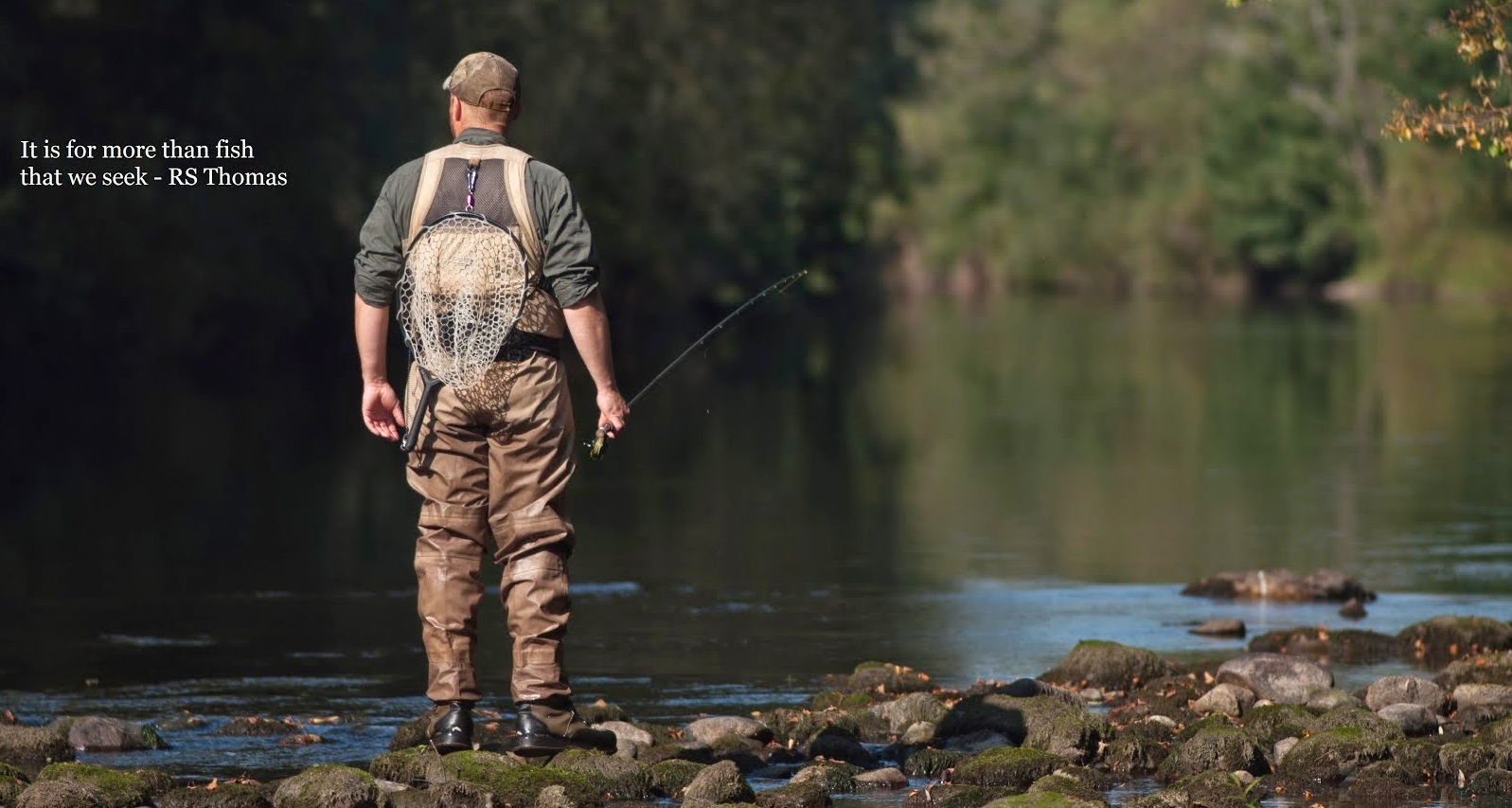 Welsh fishing blogs