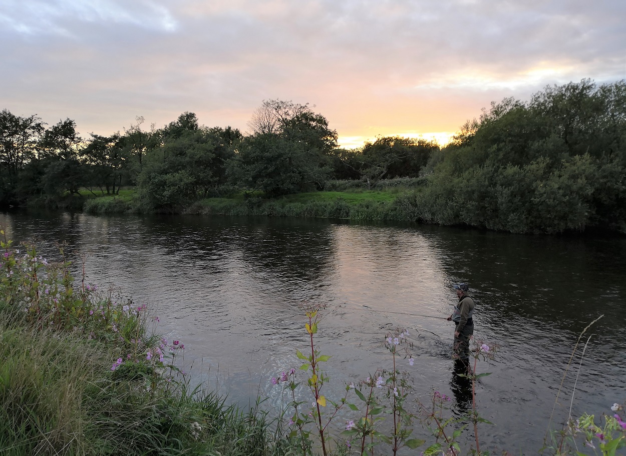 Fishing Bye Laws in Wales